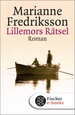 bigCover of the book Lillemors Rätsel by 