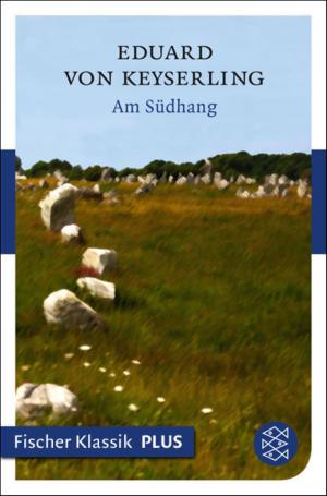 Book cover of Am Südhang