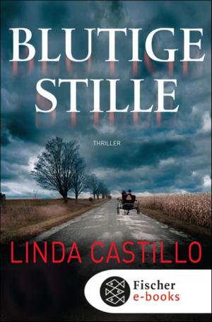 Book cover of Blutige Stille