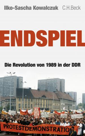 Cover of the book Endspiel by Jürgen Osterhammel, Jan C. Jansen