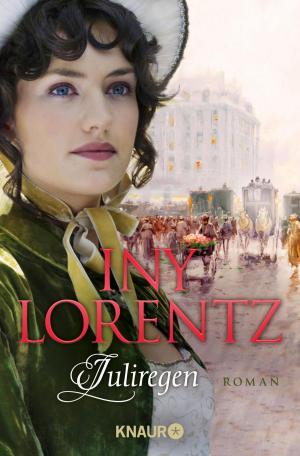 Cover of the book Juliregen by Liza Grimm