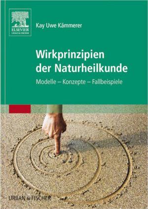 Cover of the book Wirkprinzipien der Naturheilkunde by Michael S. Kappy, MD