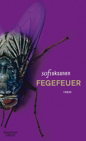 Book cover of Fegefeuer