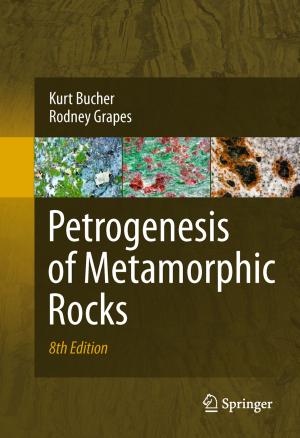 Cover of the book Petrogenesis of Metamorphic Rocks by David G. Green