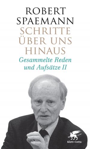Cover of the book Schritte über uns hinaus II by Michael Wildenhain
