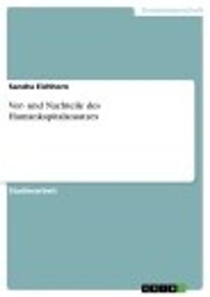 Cover of the book Vor- und Nachteile des Humankapitalansatzes by Anonym