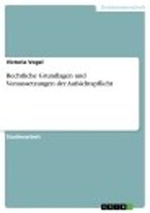 Cover of the book Rechtliche Grundlagen und Voraussetzungen der Aufsichtspflicht by Sebastian Paul