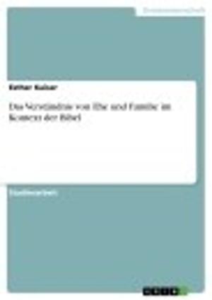 Cover of the book Das Verständnis von Ehe und Familie im Kontext der Bibel by Tim Hamann