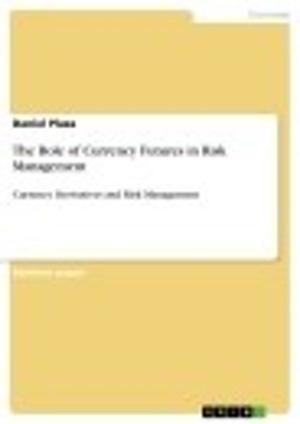 Cover of the book The Role of Currency Futures in Risk Management by Mennen, Abayomi, Jian, Mead, Zhou