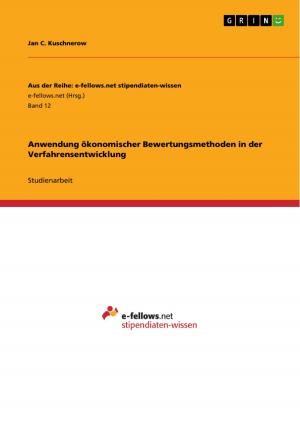 Cover of the book Anwendung ökonomischer Bewertungsmethoden in der Verfahrensentwicklung by Martin Weißenborn