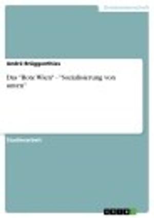 Cover of the book Das 'Rote Wien' - 'Sozialisierung von unten' by Timo Schlichting