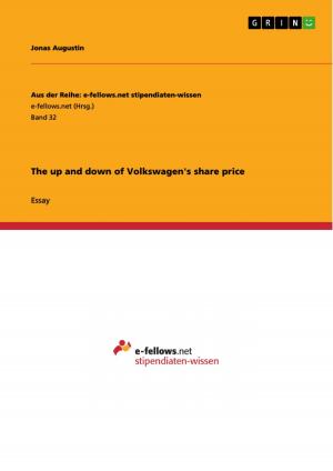 Cover of the book The up and down of Volkswagen's share price by Fabian Metz