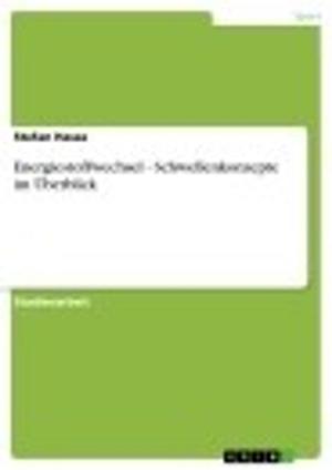 Cover of the book Energiestoffwechsel - Schwellenkonzepte im Überblick by Caroline De Groot