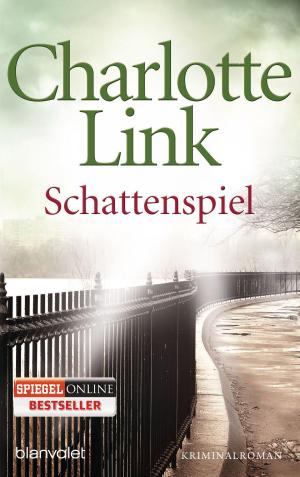 Book cover of Schattenspiel