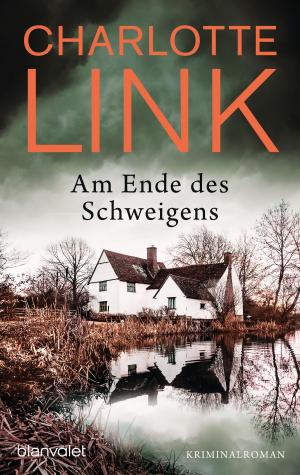 Book cover of Am Ende des Schweigens