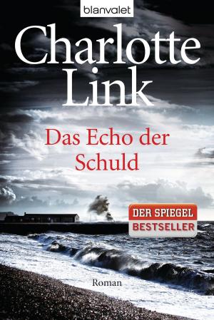 Book cover of Das Echo der Schuld