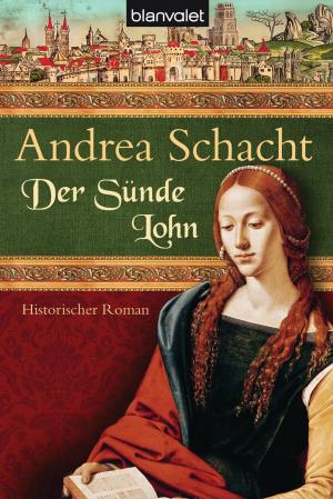 Cover of the book Der Sünde Lohn by Kitty Werner, Editor, Vincent Budd, Afterword