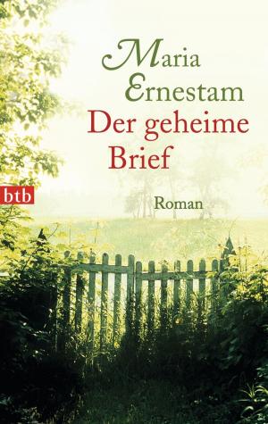 Cover of the book Der geheime Brief by Salman Rushdie