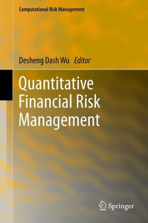 Cover of the book Quantitative Financial Risk Management by Michel De Lara, Brigitte d'Andréa-Novel