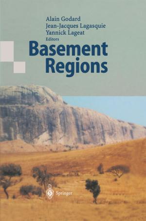 Cover of the book Basement Regions by Jiang Wu, Yan Cao, Weiguo Pan, Weiping Pan