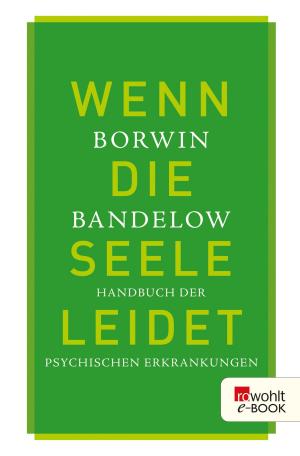 Cover of the book Wenn die Seele leidet by Frank Schwellinger