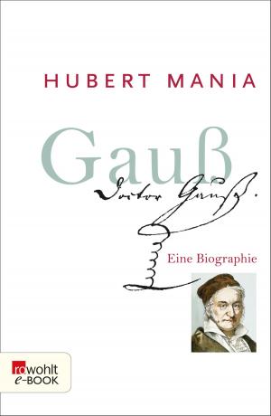 Cover of the book Gauß by Stewart O'Nan