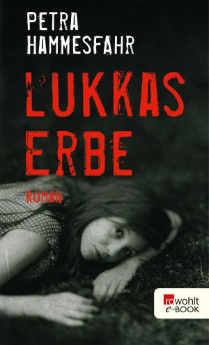 Cover of the book Lukkas Erbe by Katelyn Faith