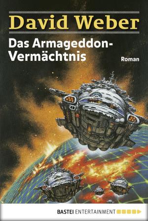 Cover of the book Das Armageddon-Vermächtnis by Stefan Frank