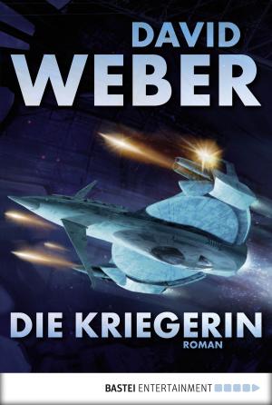 Cover of the book Die Kriegerin by Markus Grolik