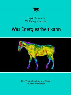 Book cover of Was Energiearbeit kann