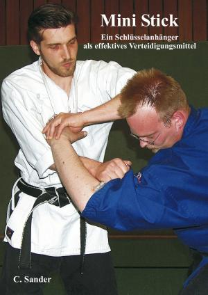 Cover of the book Mini Stick by Andreas Weiss