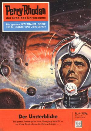 Cover of the book Perry Rhodan 19: Der Unsterbliche by Arndt Ellmer