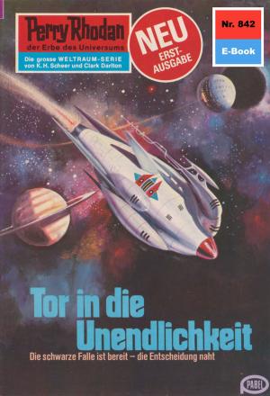 Cover of the book Perry Rhodan 842: Tor in die Unendlichkeit by Uwe Anton