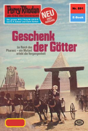 Cover of the book Perry Rhodan 891: Geschenk der Götter by Michael Marcus Thurner