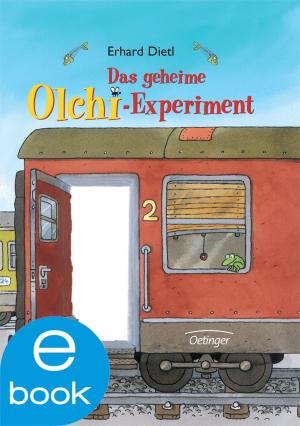 Book cover of Das geheime Olchi-Experiment