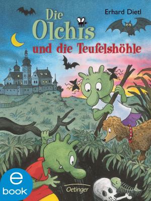 Book cover of Die Olchis und die Teufelshöhle