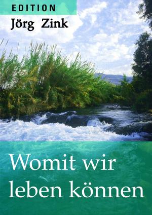 Cover of the book Womit wir leben können by Olivia Summers
