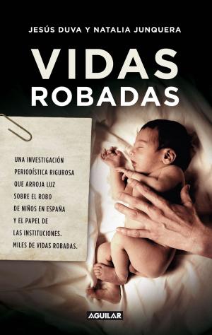 Cover of the book Vidas robadas by Isabel San Sebastián