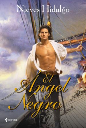 Book cover of El Ángel Negro