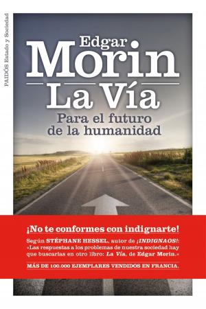 Cover of the book La Vía by Moruena Estríngana