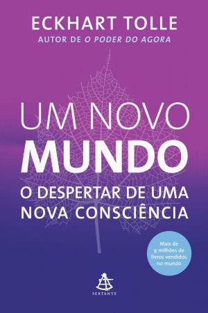 Cover of the book Um novo mundo by Nilofer Safdar, Glenyce Hughes, Donna Martuge