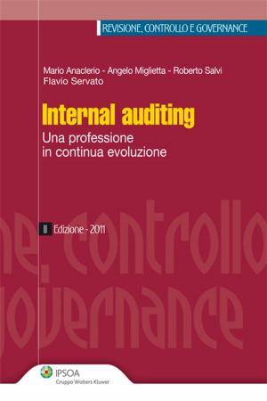 Cover of the book Internal auditing by Giuseppe Amadio, Salvatore Patti