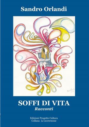 Book cover of Soffi di vita