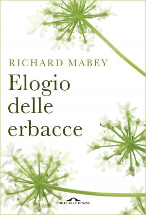 Cover of the book Elogio delle erbacce by Alain  Badiou
