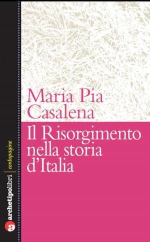 Cover of Il Risorgimento nella storia d'Italia