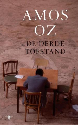 Cover of the book De derde toestand by Kasper van Beek