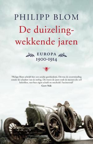 Cover of the book De duizelingwekkende jaren by Jeroen Olyslaegers