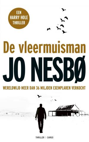 Cover of the book De vleermuisman by Tommy Wieringa