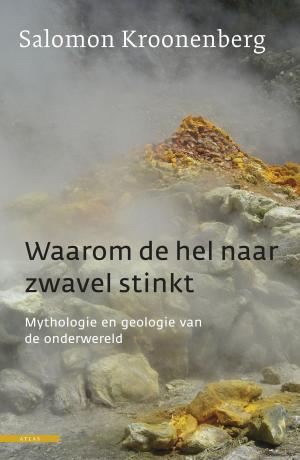 Cover of the book Waarom de hel naar zwavel stinkt by Willeke Stadtman