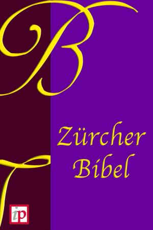 Cover of the book Zürcher Bibel (1931) by Franz Eugen Schlachter